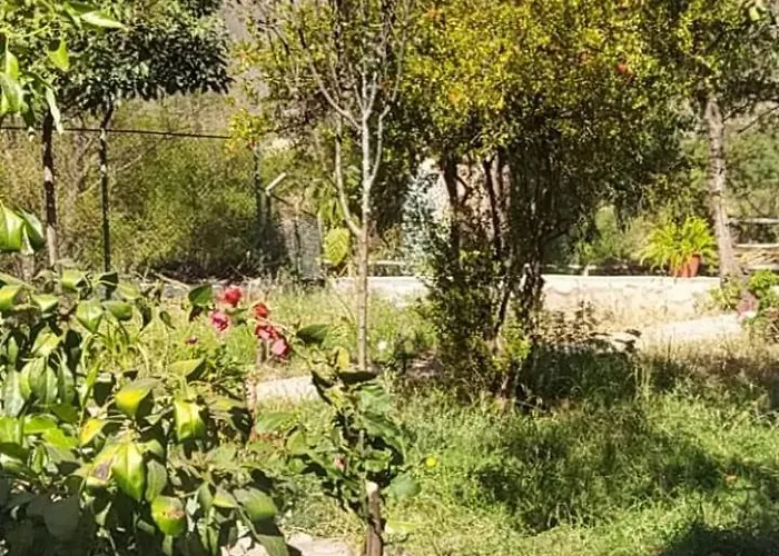 Casa Concha Valle Sagrado
